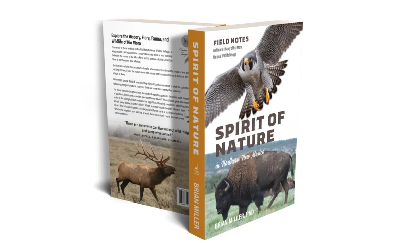 Spirit of Nature in Northern New Mexico