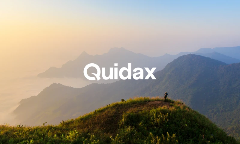 Check - Quidax Rebrand Project