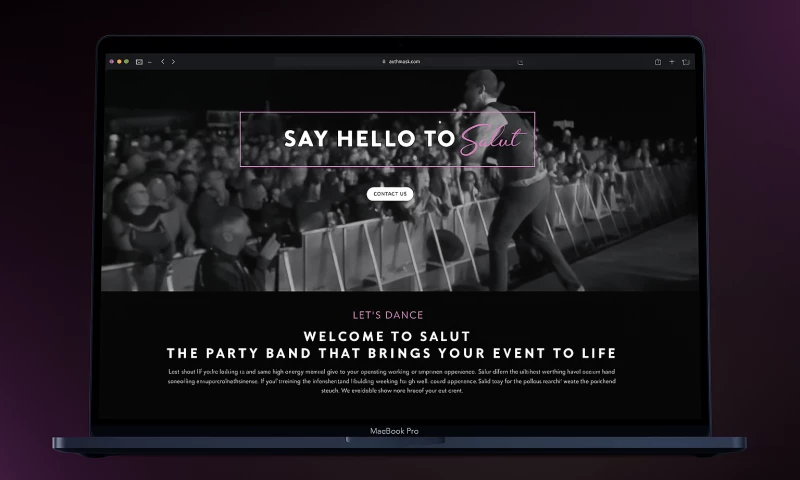 Hike Branding - WordPress Website Design for Music band