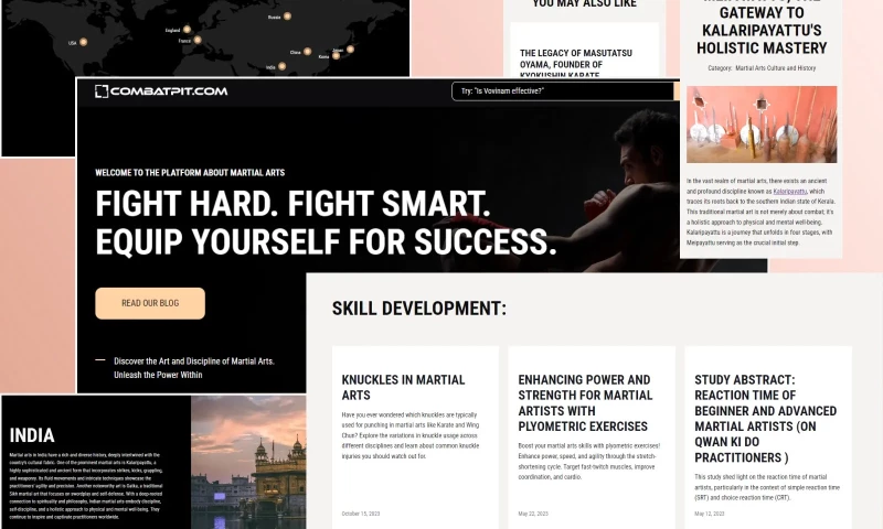 Rapid Fire Web Studio - Blog About Martial Arts