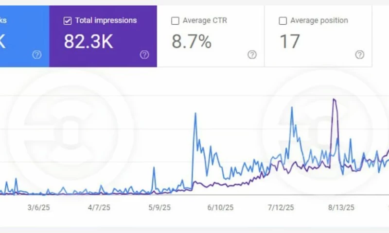 SEOZA_Zamrii - Increased Organic Traffic by 500-700% After an SEO Audit
