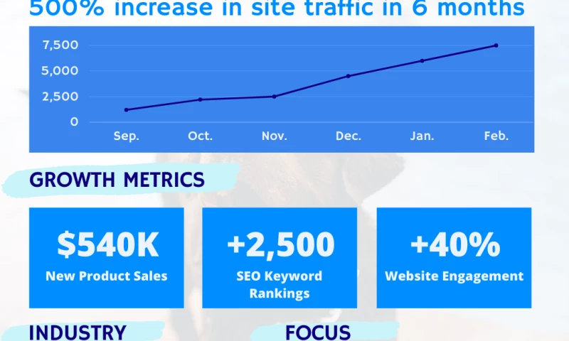 500% Increase in Site Traffic in 6 Months