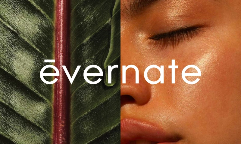 Marka Works - Evernate