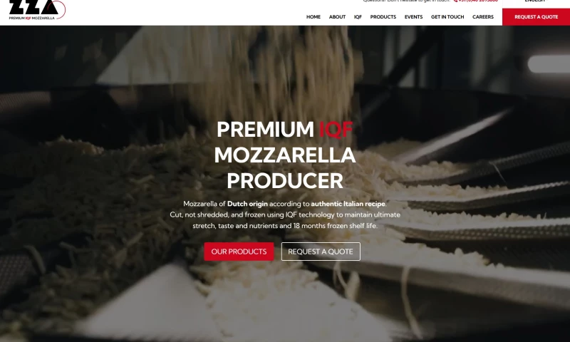 Internationally oriented website development