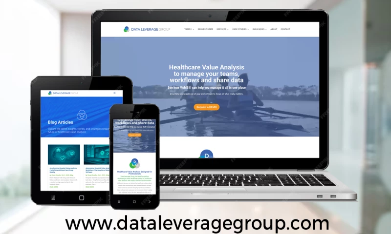 Digital Media Design Inc - Data Leverage Group Wordpress Website