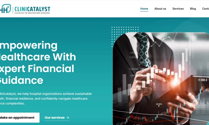 Brainwaves India - Website Design For CFO Services Firms