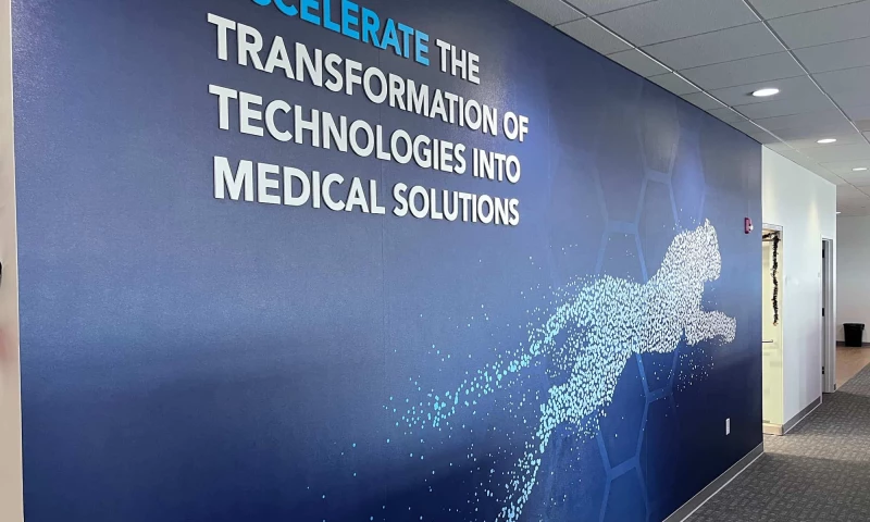 Hummingbird - Kymanox Branding