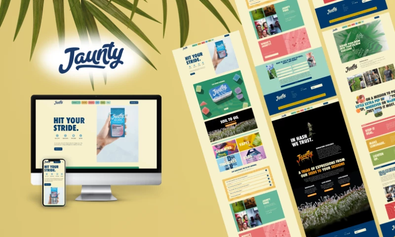 Websadroit - CBD Website Design WordPress WooCommerce Case Study
