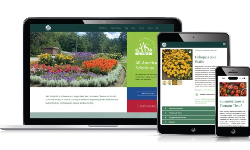 Verve Marketing Group - New nonprofit website with enhanced functionality