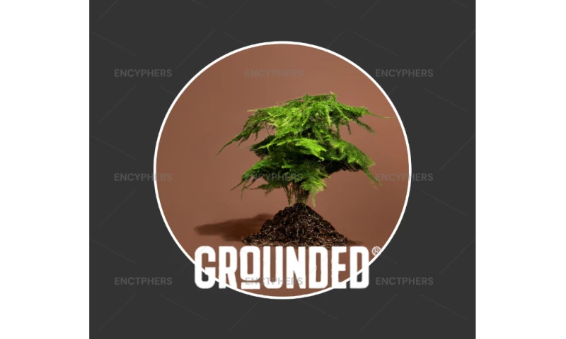 Encyphers - GROUNDEDSHAKES