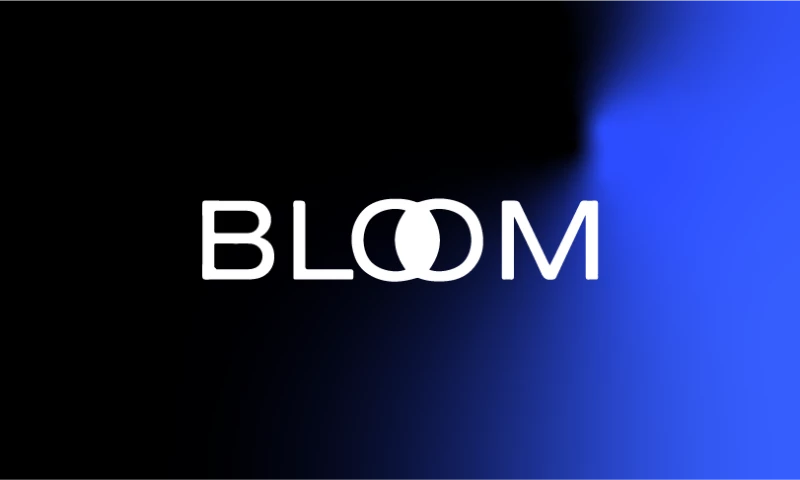 Custom Multi-Domain Web Ecosystem