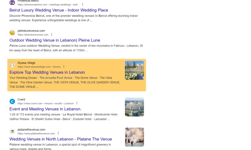 Blue Hat - Alyasa Village SEO Growth & Organic Visibility Expansion