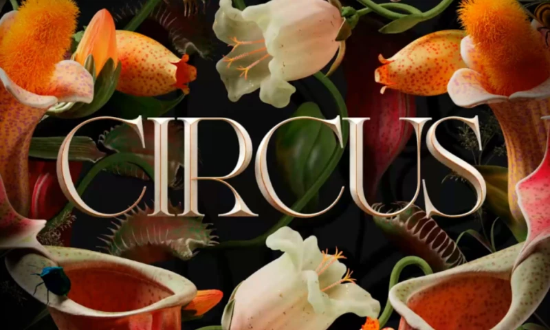 Tavo Studio - Circus Brand Film