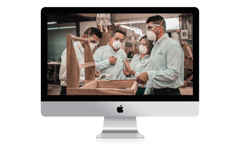 Toughlex - Workforce Performance Questionnaire Redesign