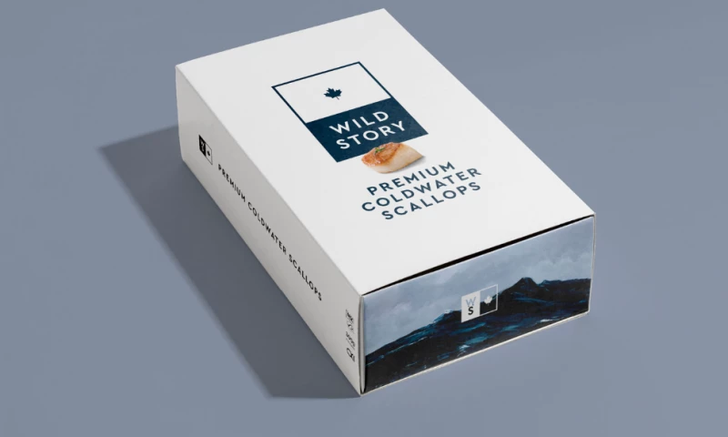 Black Book Design Collective Ltd - Wild Story