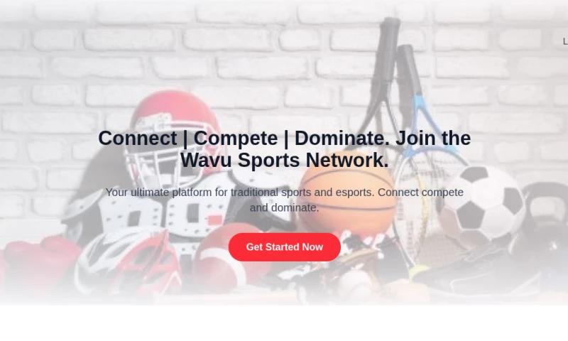 GuruCrafts Agency - Wavu Sport Network