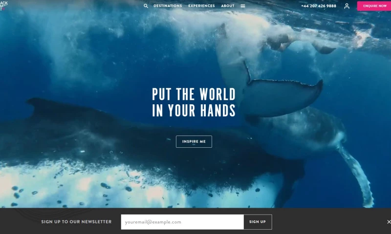 Axencia - Black Tomato Crafting Custom Luxurious Travel Narratives