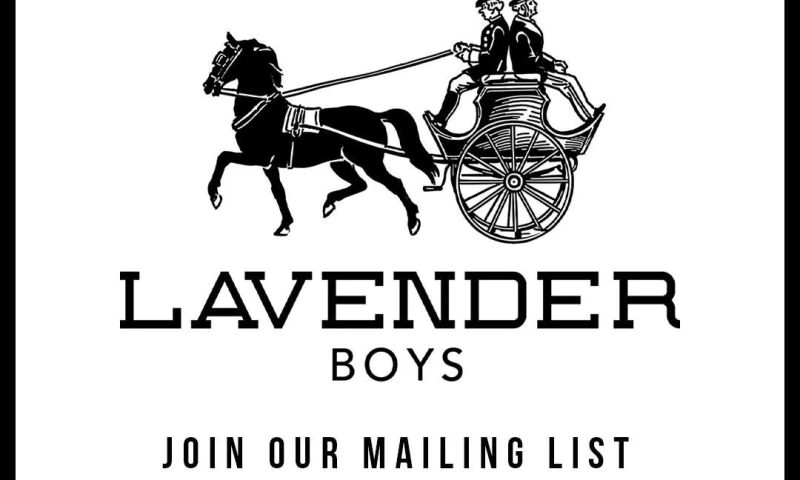 Avesent - Lavender Boys