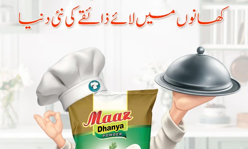 Hamza Design Hub Pvt. Ltd - Social Media Marketing