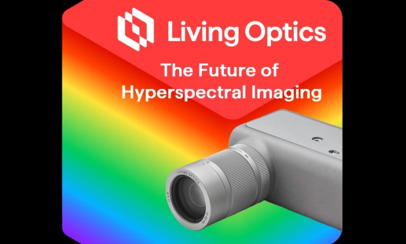 CMO as a Service for B2B Tech Company