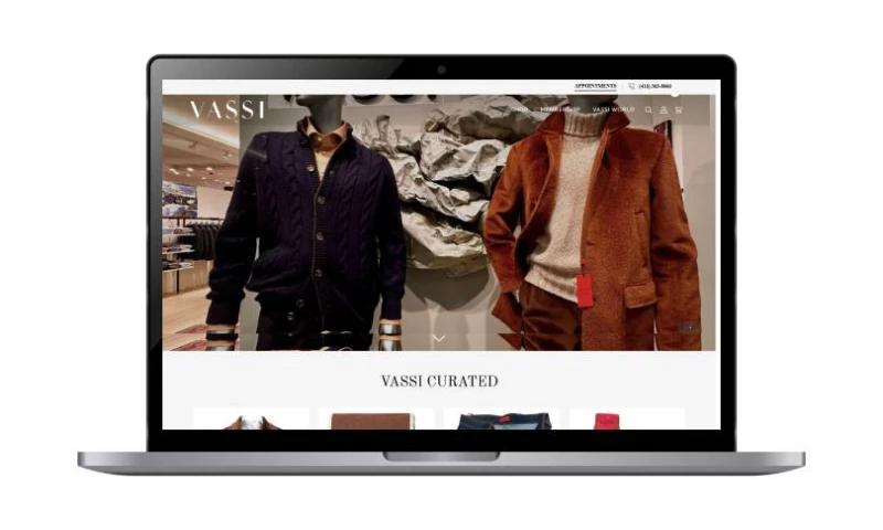 eCommerce Development Pros - Vassi-Shopify