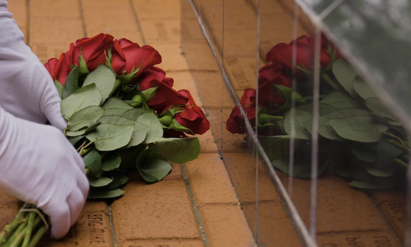 Mile High Films - Our Fire Family