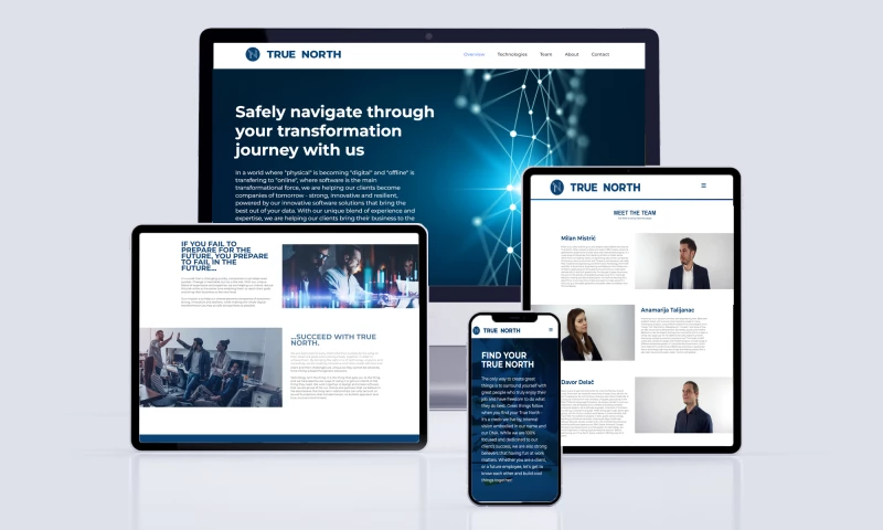 True North web & branding