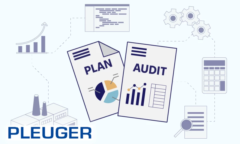 IT Audit for the Industrial Manufacturer
