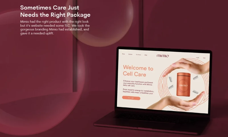 Designity - Website Design & Development - Mimio