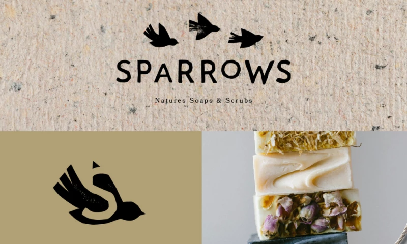 Emma Hudson - Sparrows