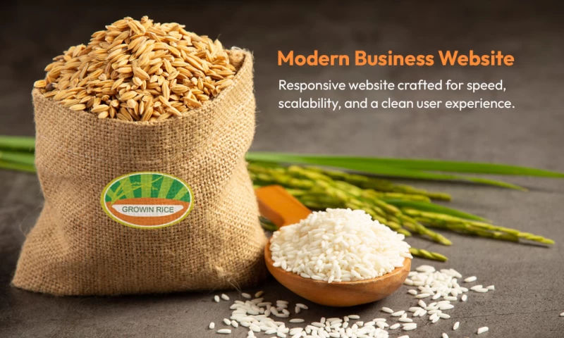 Building a Scalable Digital Platform for Growin Rice