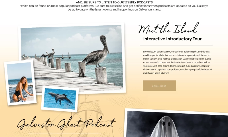 Quantive Digital - Web Design & Development