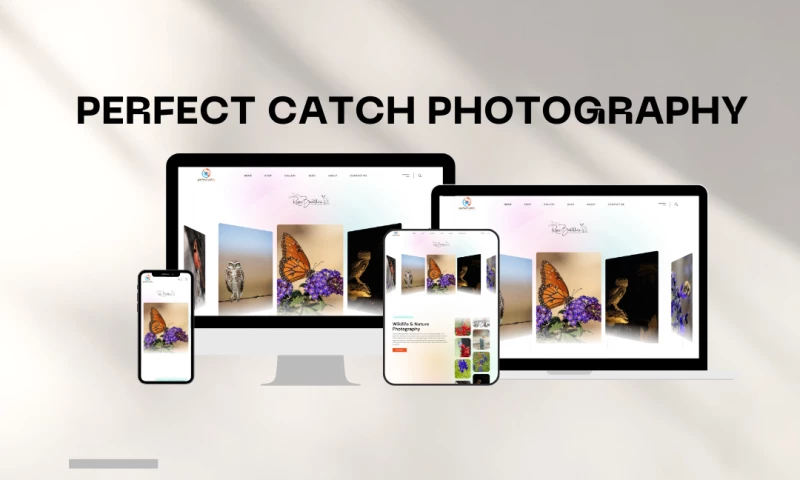 NowDigiVerse - Perfect Catch Photo Photography Services