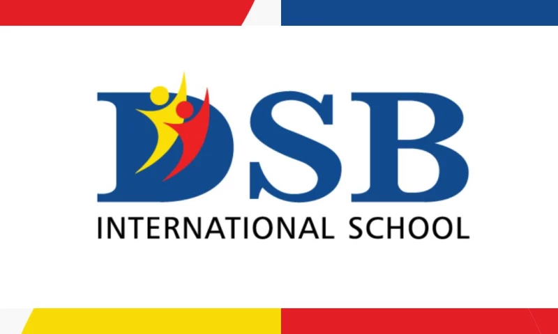 DSB International | Social Media Management by Social Sherpa