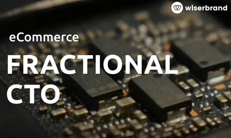 Wiserbrand - Fueling Growth with Technology Leadership (IT Consulting)