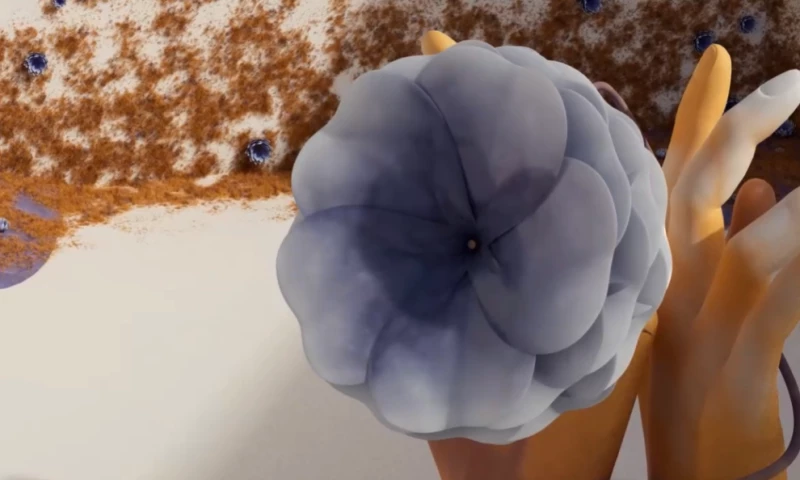 Oryan Kidron - Showreel