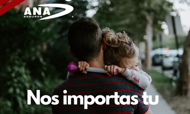 Ana seguros