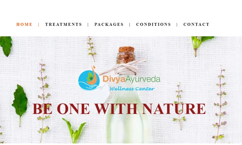 MetaBlock Technoogies - Divya Ayurveda Ayurvedic Healthcare & Wellness Website Development