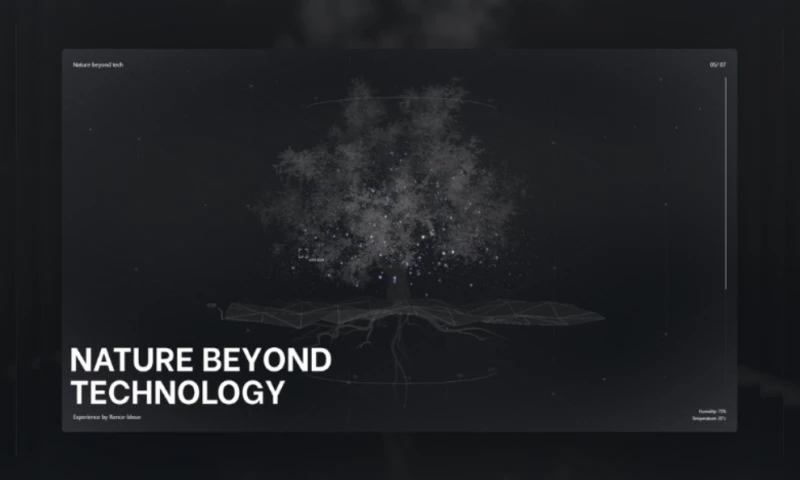 Ronce Bleue - Nature Beyond Tech