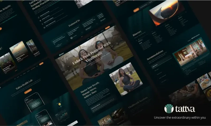 Lollypop Design Studio - Website Design: Tattva Health