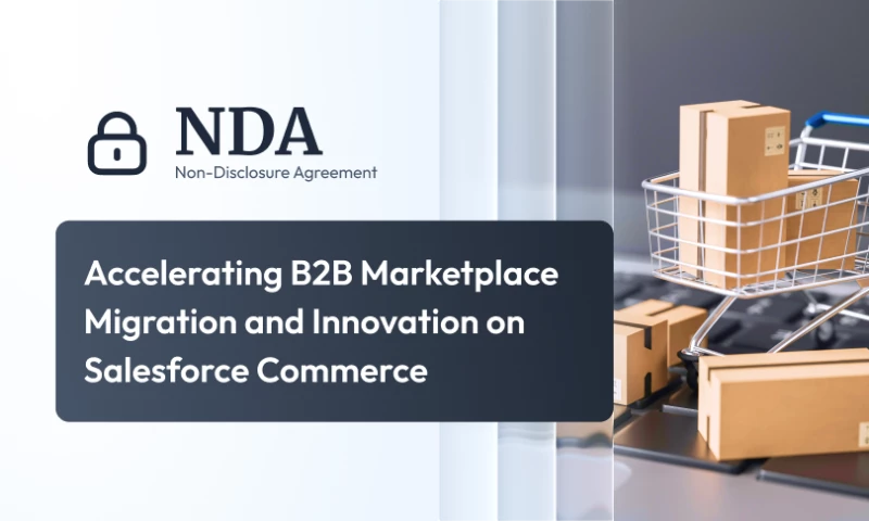 Zoolatech - Accelerating B2B Marketplace Migration