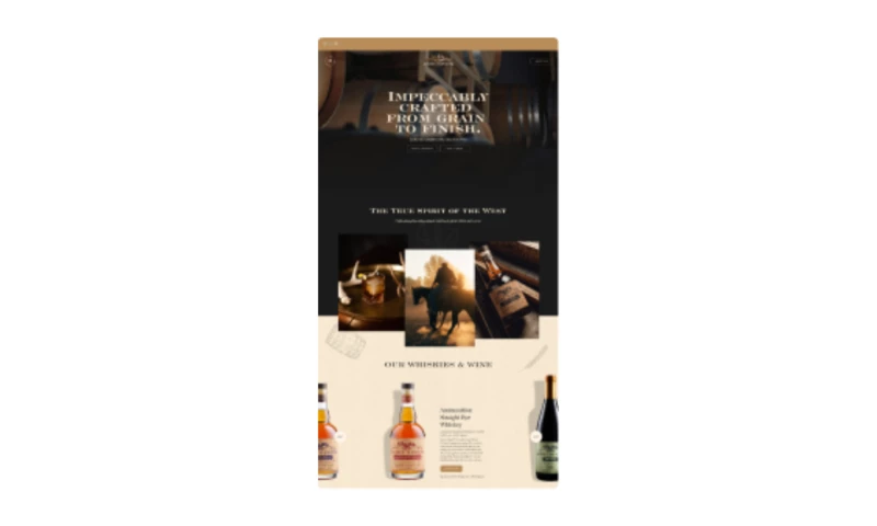 Storm Brain - Ammunition