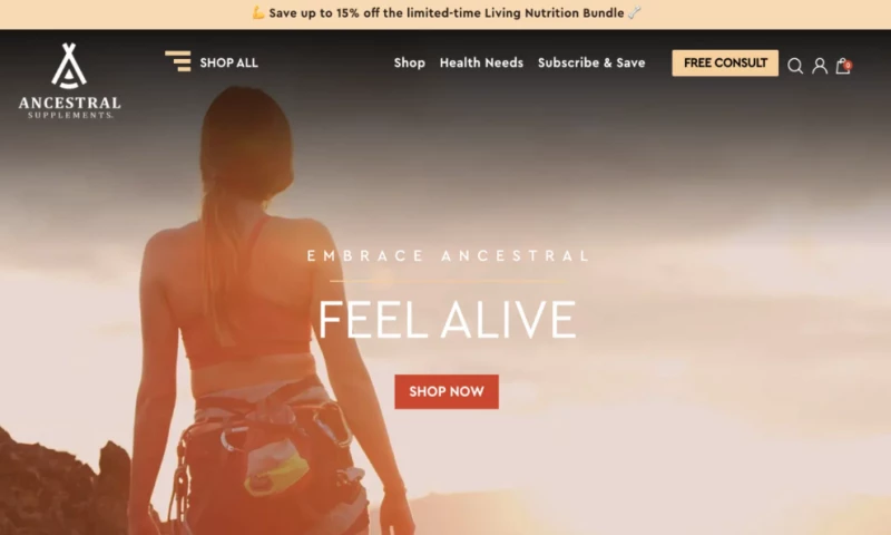 Storm Brain - Ancestral Supplements