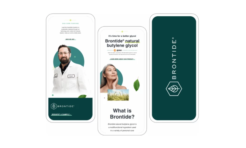 Storm Brain - Brontide