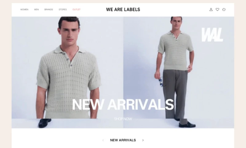 Shopify Website Design