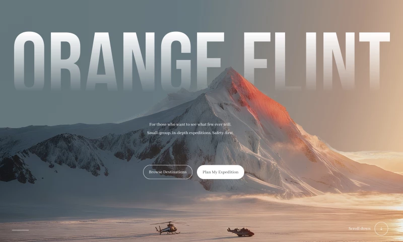 Zbrex - official website development