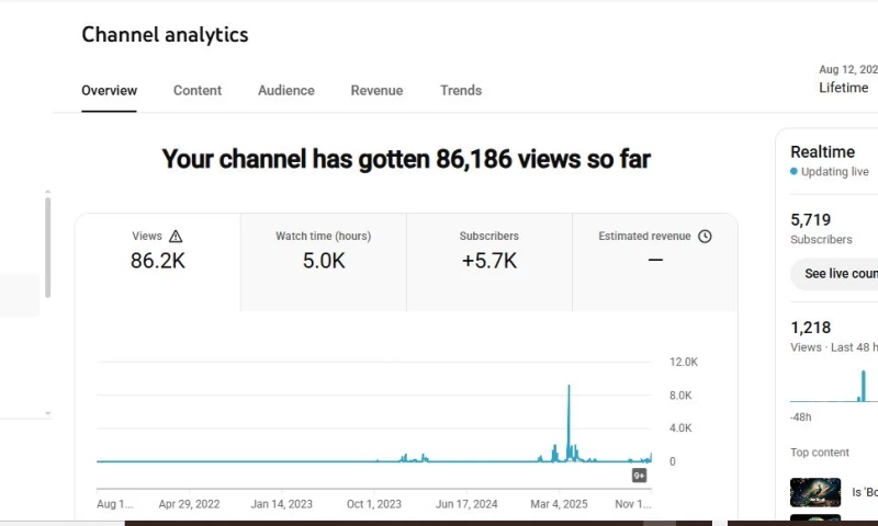 YouTube Channel Optimization Case Study