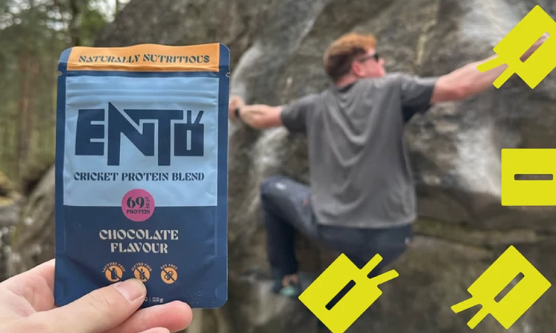 Anna Rigby Design - Ento