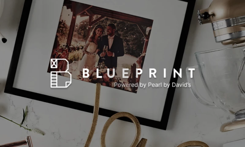 Proprietary E-Com Platform for Blueprint Registry