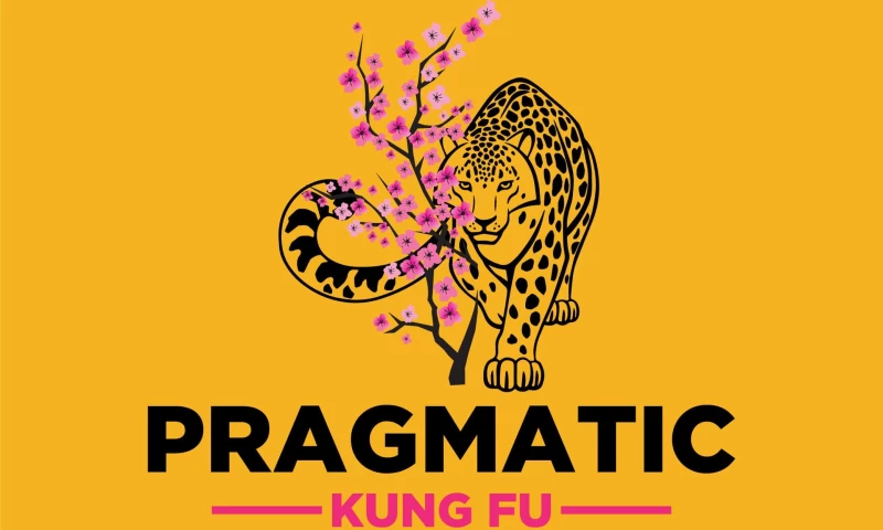 Techxide - Pragmatic Kung Fu